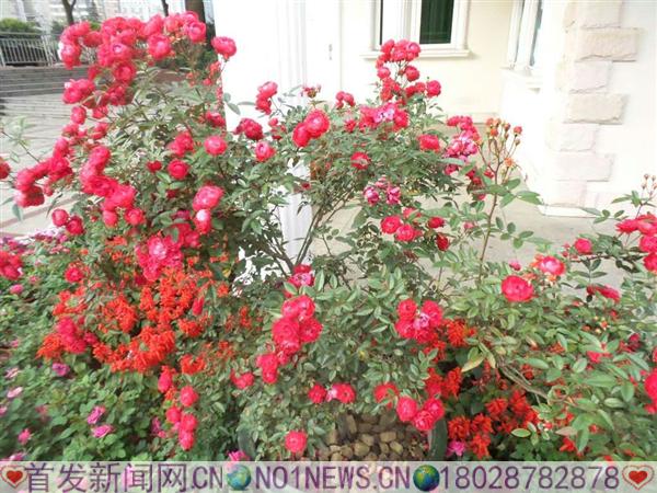 mmexport1485858515909.jpg mmexport1485858515909.jpg